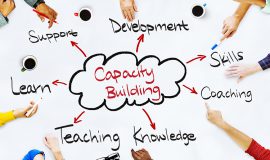 Institutional Development and Capacity Building